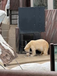 恩賜上野動物園に投稿された画像（2026/3/7）