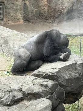 恩賜上野動物園に投稿された画像（2026/3/7）