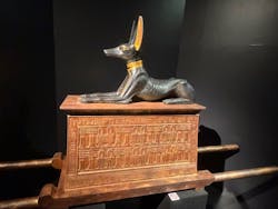 MYSTERY OF TUTANKHAMEN 体感型古代エジプト展に投稿された画像（2026/3/7）