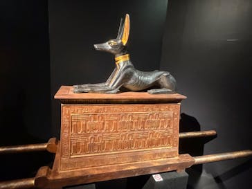 MYSTERY OF TUTANKHAMEN 体感型古代エジプト展に投稿された画像（2026/3/7）