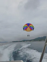 Sea World（シーワールド）に投稿された画像（2026/3/8）