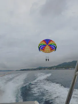 Sea World（シーワールド）に投稿された画像（2026/3/8）