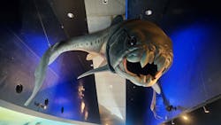 環境水族館アクアマリンふくしまに投稿された画像（2026/3/8）