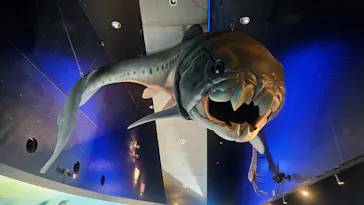 環境水族館アクアマリンふくしまに投稿された画像（2026/3/8）