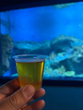 アクアワールド茨城県大洗水族館に投稿された画像（2026/3/8）