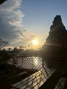 ひらかたパークに投稿された画像（2026/3/8）