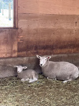 マザー牧場に投稿された画像（2026/3/8）