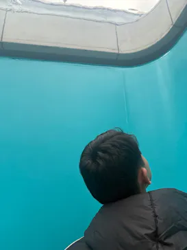 金沢21世紀美術館に投稿された画像（2026/3/8）