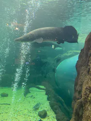 栃木県なかがわ水遊園に投稿された画像（2026/3/8）