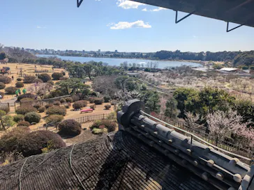 偕楽園本園に投稿された画像（2026/3/8）