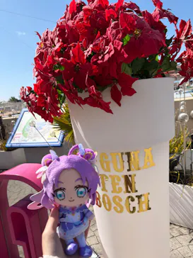 ラグーナテンボス ラグナシアに投稿された画像（2026/3/8）