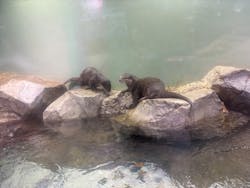 マクセル アクアパーク品川に投稿された画像（2026/3/8）