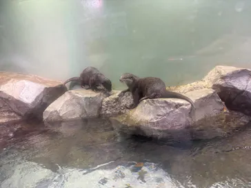 マクセル アクアパーク品川に投稿された画像（2026/3/8）