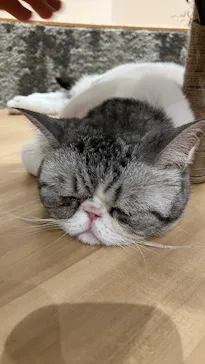 いぬカフェRio イオンモール常滑店に投稿された画像（2026/3/8）