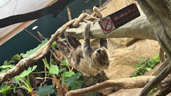 那須どうぶつ王国に投稿された画像（2026/3/8）