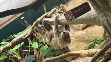 那須どうぶつ王国に投稿された画像（2026/3/8）