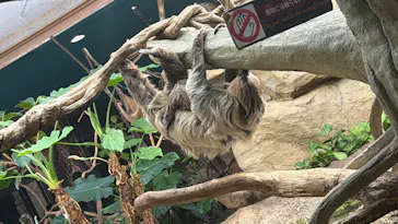 那須どうぶつ王国に投稿された画像（2026/3/8）