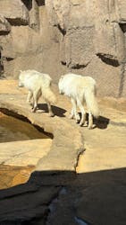 那須どうぶつ王国に投稿された画像（2026/3/8）