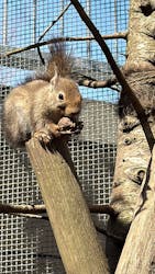 那須どうぶつ王国に投稿された画像（2026/3/8）