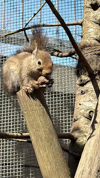 那須どうぶつ王国に投稿された画像（2026/3/8）