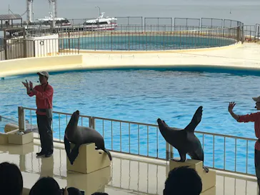 マリンワールド海の中道に投稿された画像（2026/3/8）