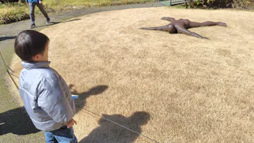 彫刻の森美術館に投稿された画像（2026/3/8）