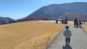 彫刻の森美術館に投稿された画像（2026/3/8）