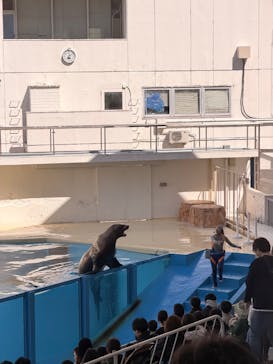 伊豆・三津シーパラダイスに投稿された画像（2026/3/8）