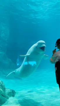 名古屋港水族館に投稿された画像（2026/3/8）