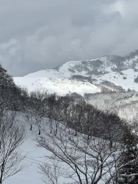氷ノ山国際スキー場に投稿された画像（2026/3/8）