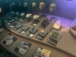 国立科学博物館に投稿された画像（2026/3/8）