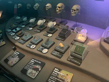 国立科学博物館に投稿された画像（2026/3/8）