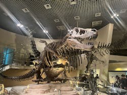 国立科学博物館に投稿された画像（2026/3/8）