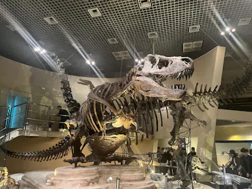 国立科学博物館に投稿された画像（2026/3/8）