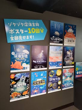 サンシャイン水族館に投稿された画像（2026/3/8）