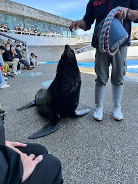 大分マリーンパレス水族館 「うみたまご」に投稿された画像（2026/3/8）