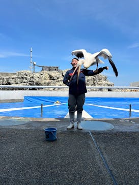 大分マリーンパレス水族館 「うみたまご」に投稿された画像（2026/3/8）