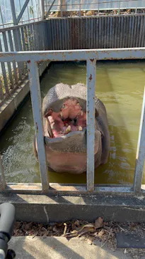 宇都宮動物園に投稿された画像（2026/3/8）