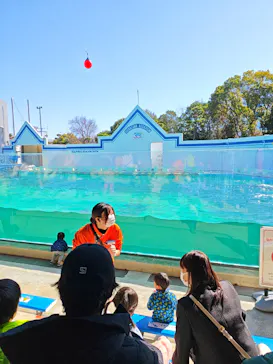 しながわ水族館に投稿された画像（2026/3/8）