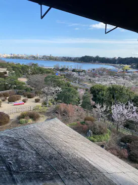 偕楽園本園に投稿された画像（2026/3/8）