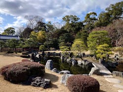 元離宮二条城に投稿された画像（2026/3/8）