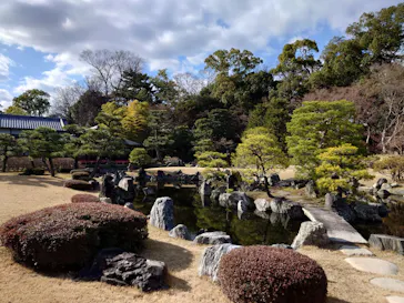 元離宮二条城に投稿された画像（2026/3/8）