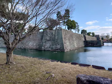 元離宮二条城に投稿された画像（2026/3/8）