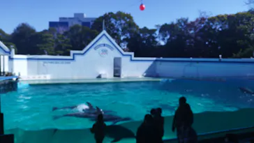 しながわ水族館に投稿された画像（2026/3/8）