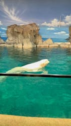 名古屋港水族館に投稿された画像（2026/3/8）