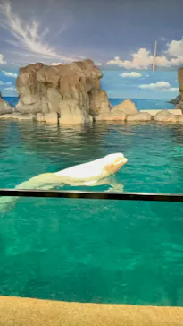 名古屋港水族館に投稿された画像（2026/3/8）