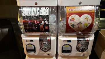 「小さな愛の物語ー豆判春画の世界ー」新宿歌舞伎町春画展WA 橋渡し回に投稿された画像（2026/3/8）