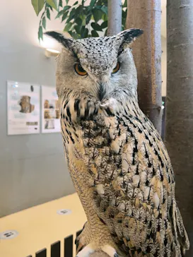 Moff animal cafe イオンモール幕張新都心店に投稿された画像（2026/3/8）