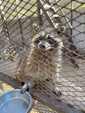 ANIMAL WONDER REZOURT 市原ぞうの国・サユリワールドに投稿された画像（2026/3/8）