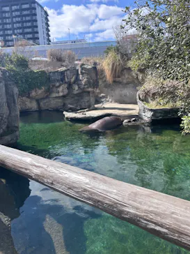 天王寺動物園に投稿された画像（2026/3/8）